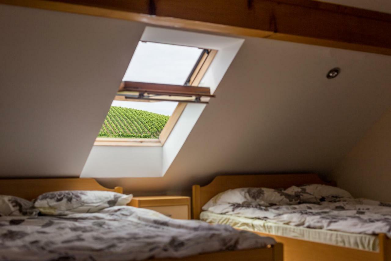 Apartment Velbana Gorca Virstanj Εξωτερικό φωτογραφία
